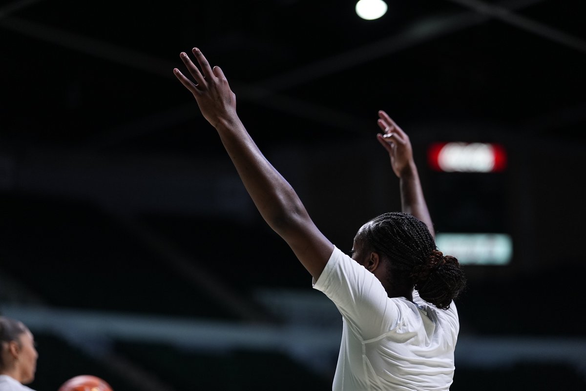 UNT Women's Basketball tweet media
