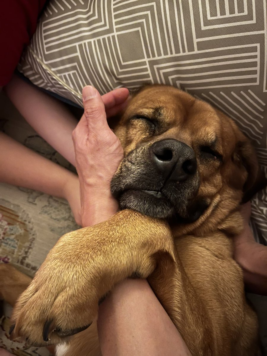 Gareth Lim tweet media