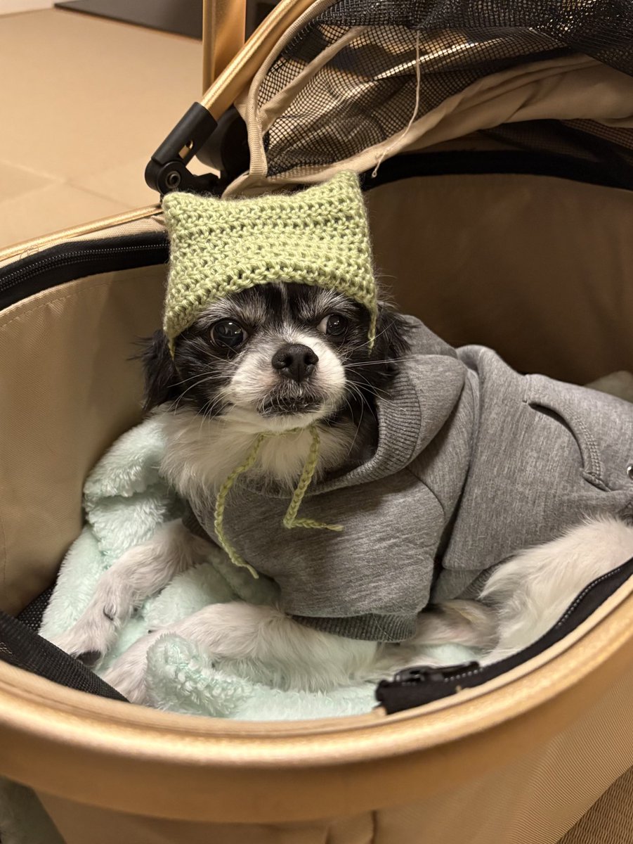 あやポン (@feelNEO_ayapon) / Posts / X