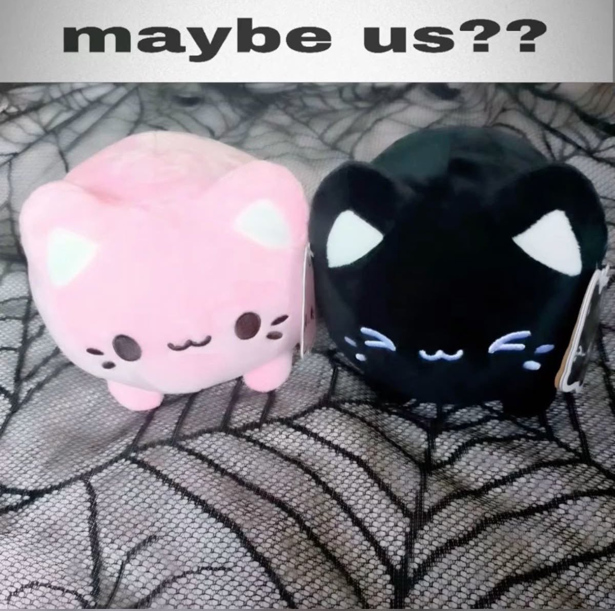 astralbaes's tweet image. 