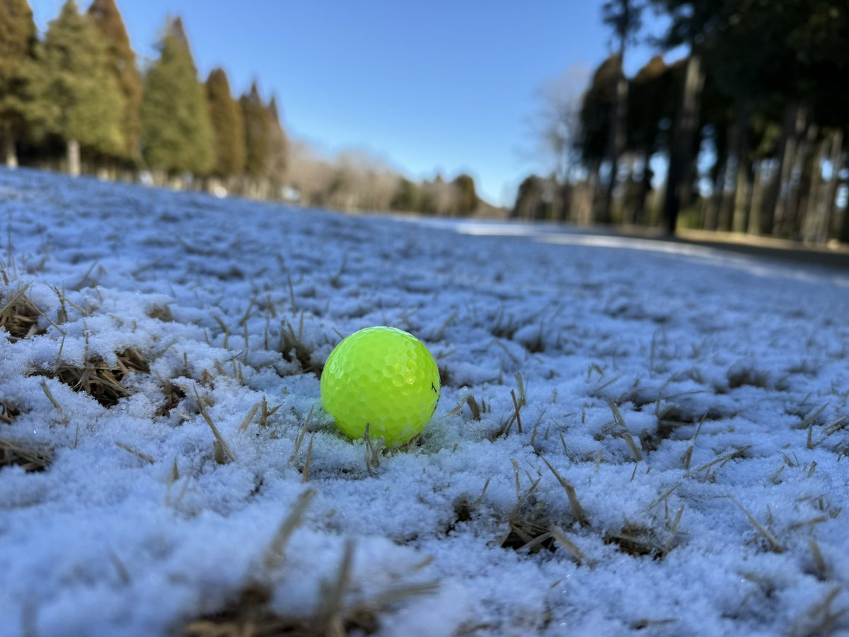 oki765LT's tweet image. 1月3日GOLF