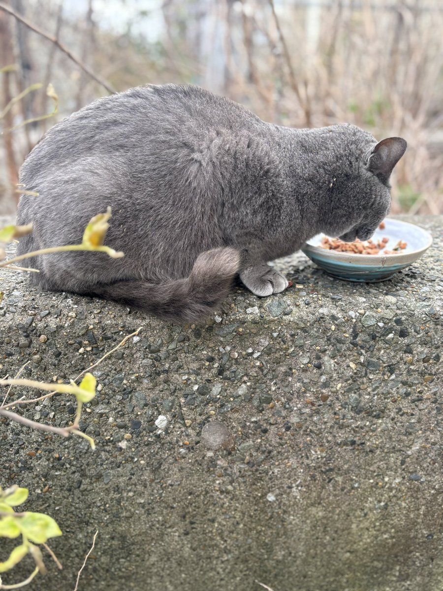 この写真の全部が、冬の色❄️