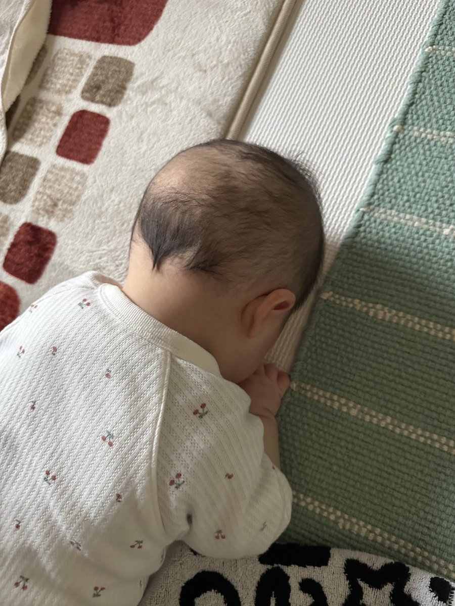 osushing's tweet image. 最近のマイブームは床を掘る(指でボリボリ)ことです( ˙꒳​˙  )