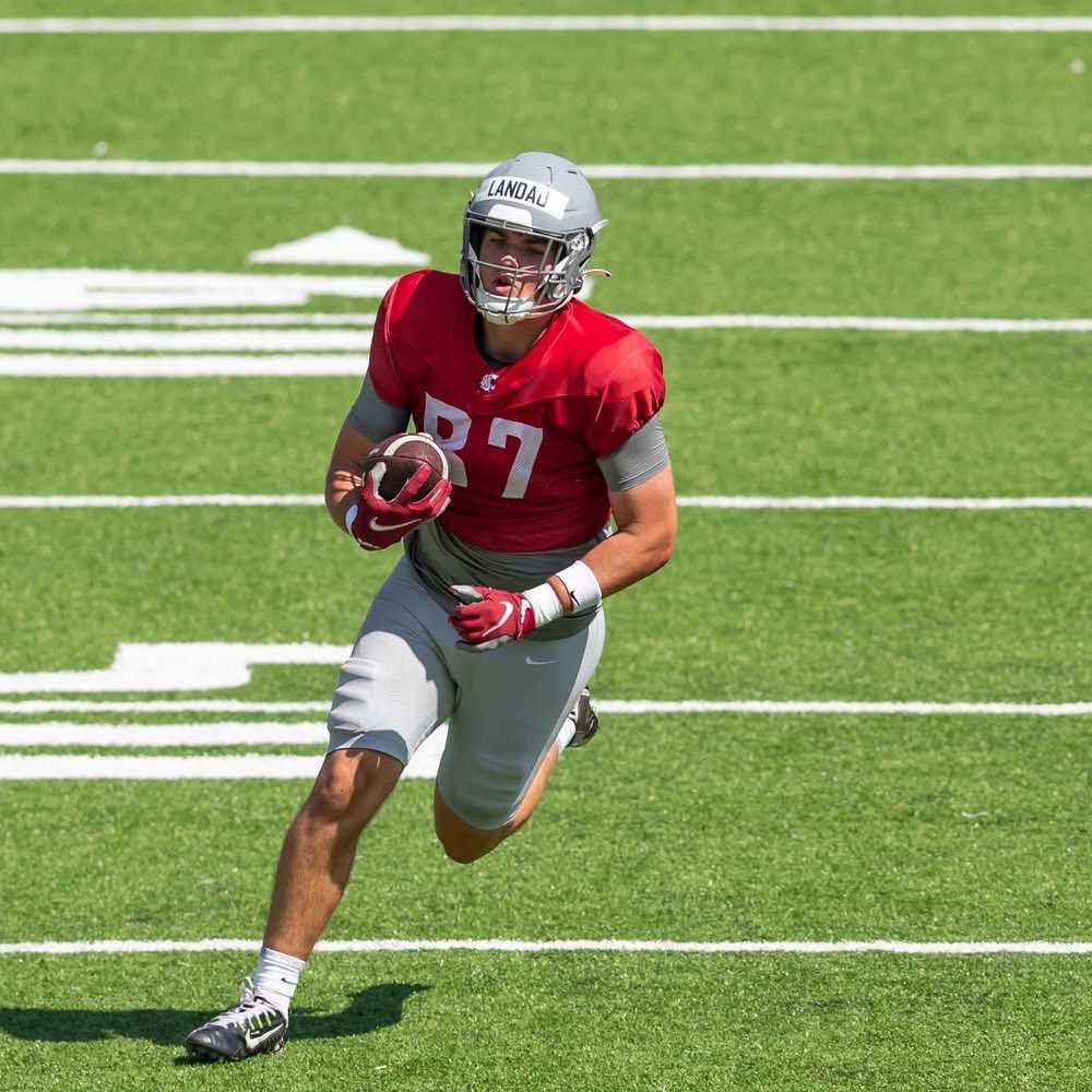 Cash Landau tweet media