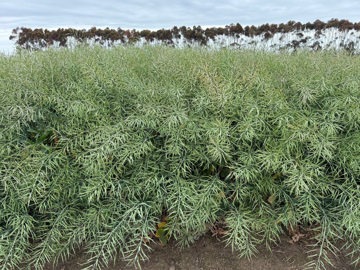 Justin Kudnig tweet media