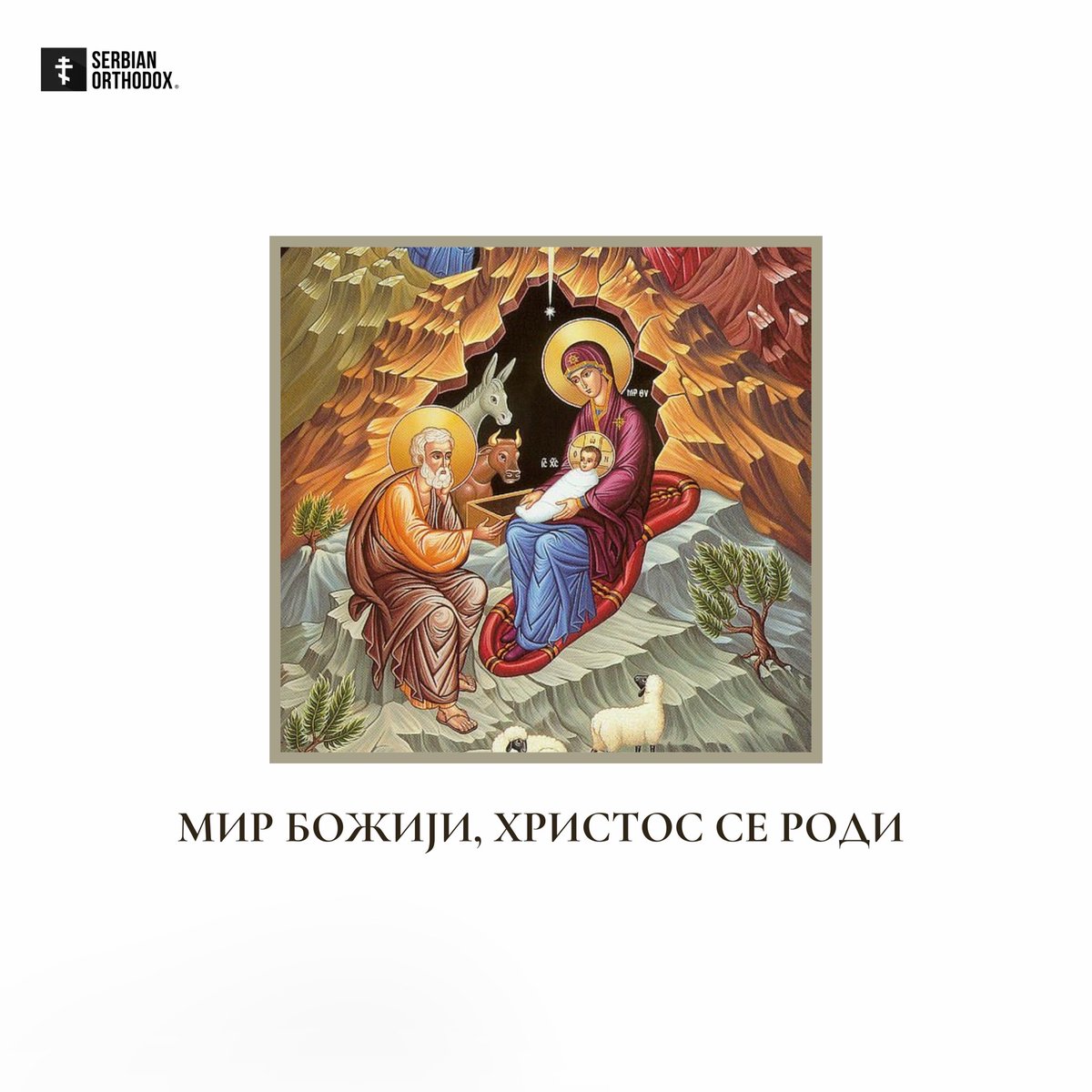 SERBIAN ORTHODOX tweet media