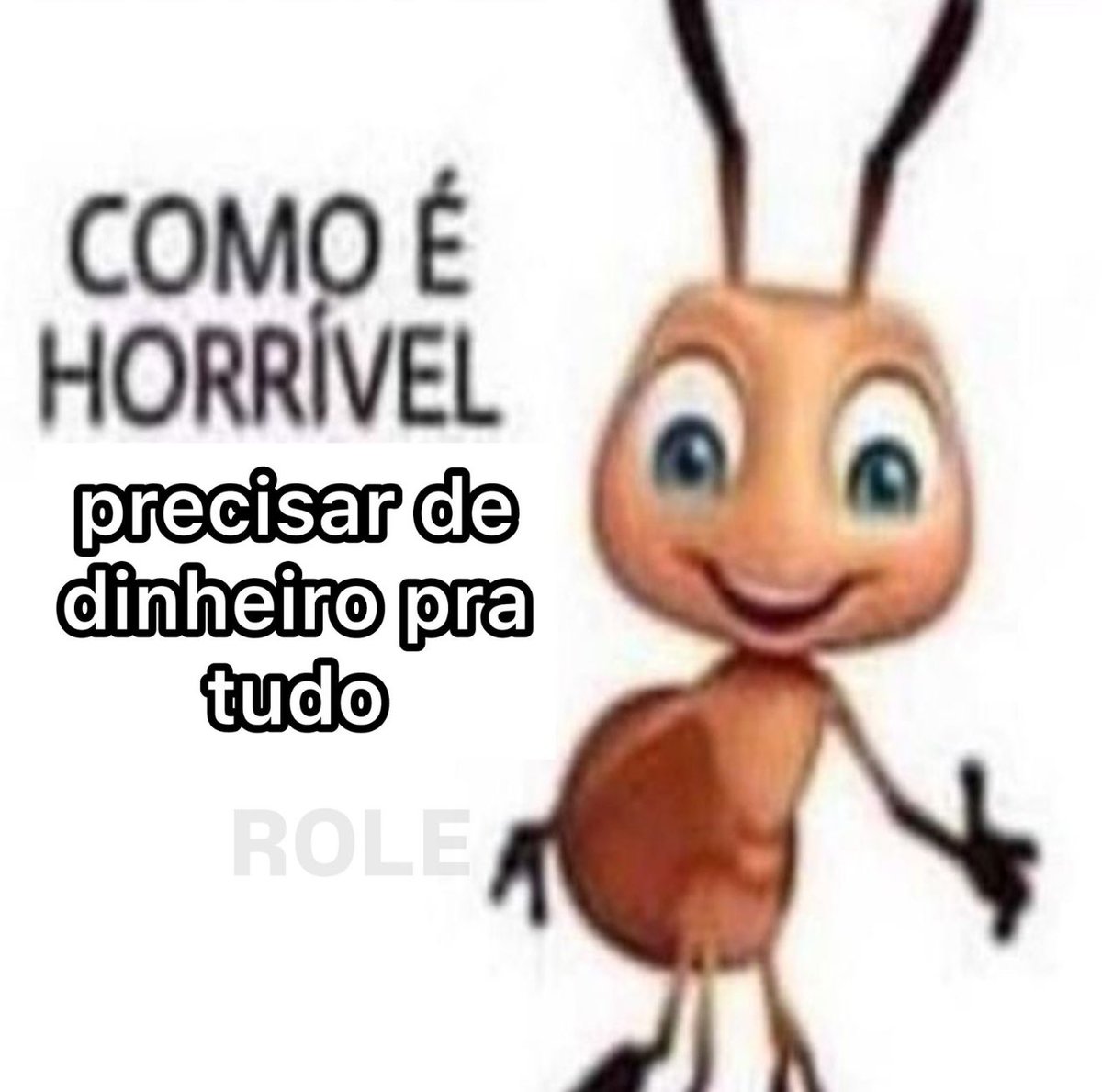 Rolê Aleatório (@rolealeatorio) on Twitter photo 