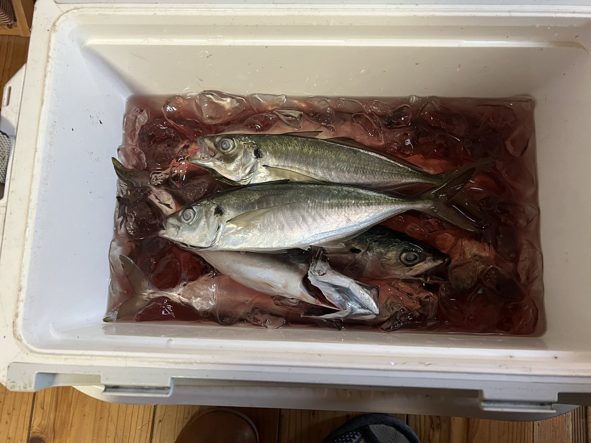 田舎の者mo-chan (@moss0782ga) / Posts / X