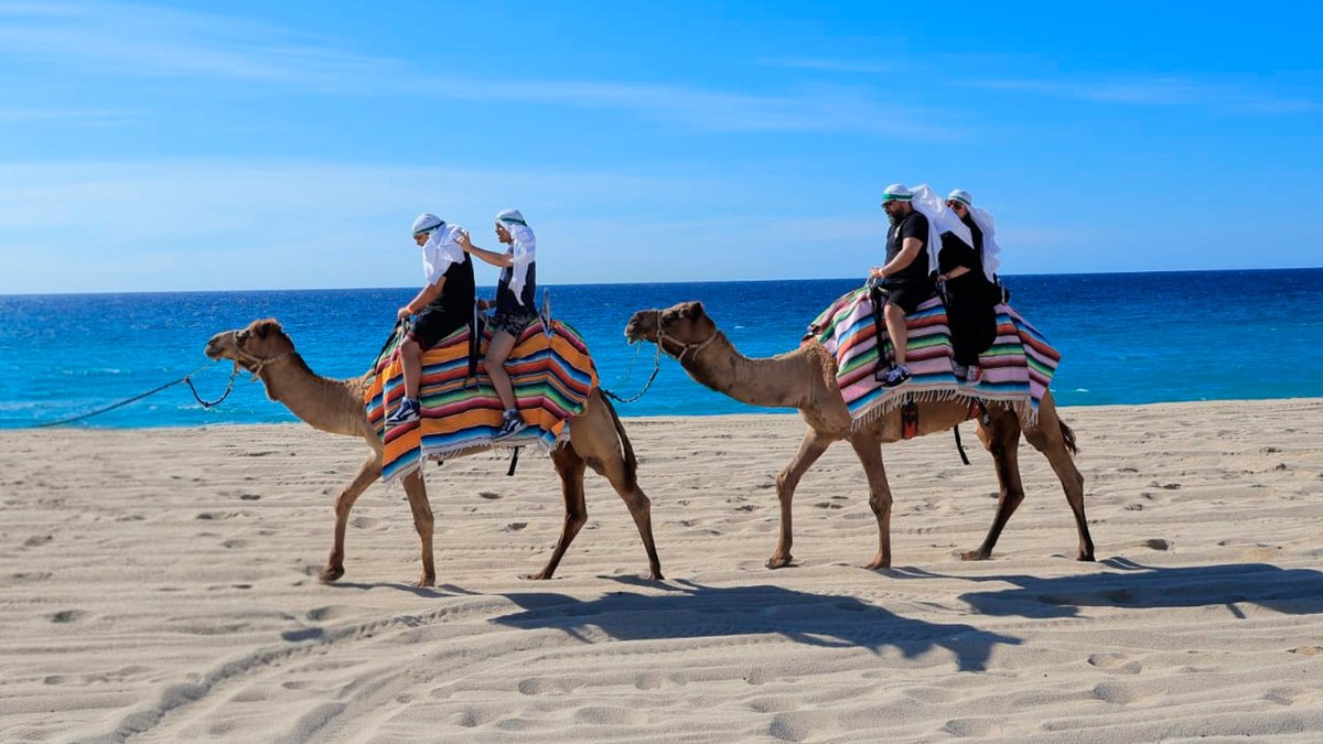 Libertad financiera: una historia de camellos y ballenas linkedin.com/pulse/libertad… a través de <a href="/LinkedIn/">LinkedIn</a>