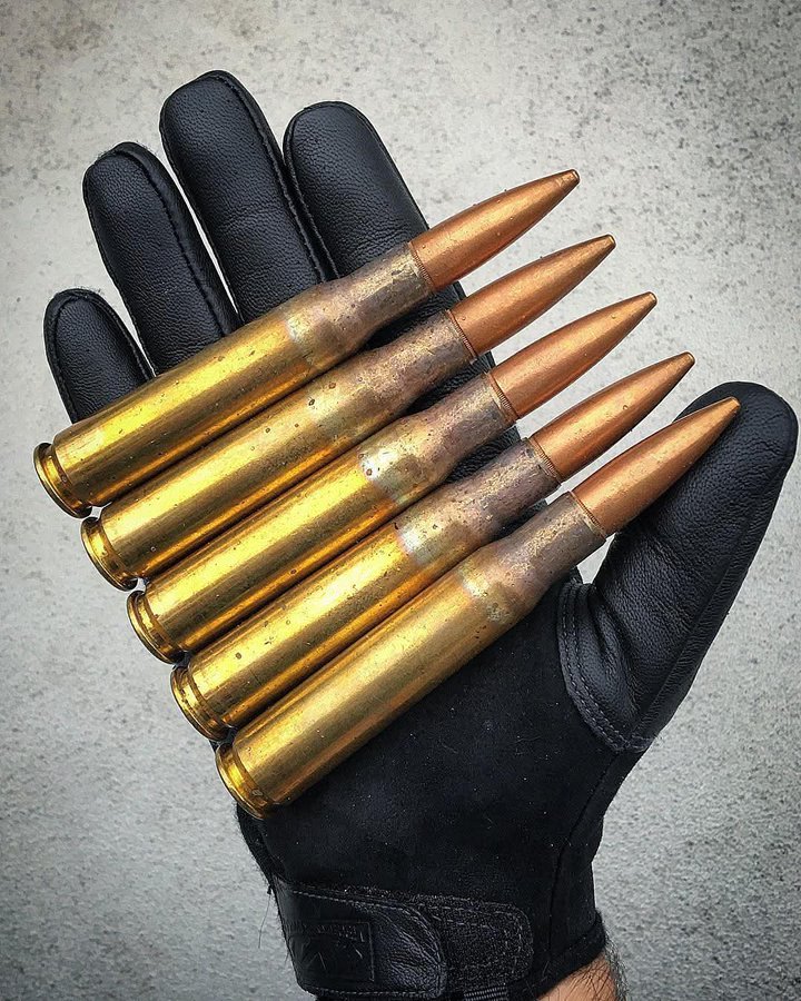 Trumplicans2024.com tweet media