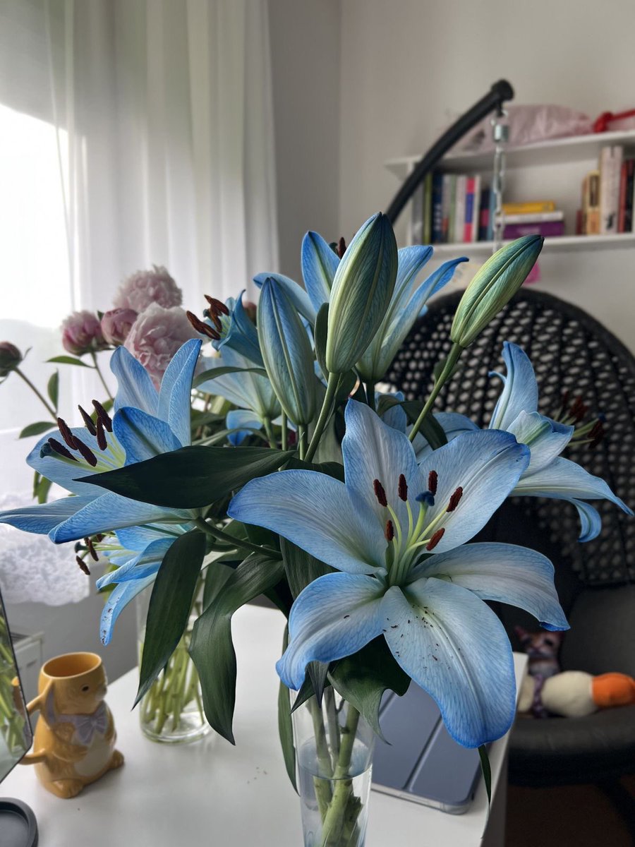 i3Moment's tweet image. Blue lilies