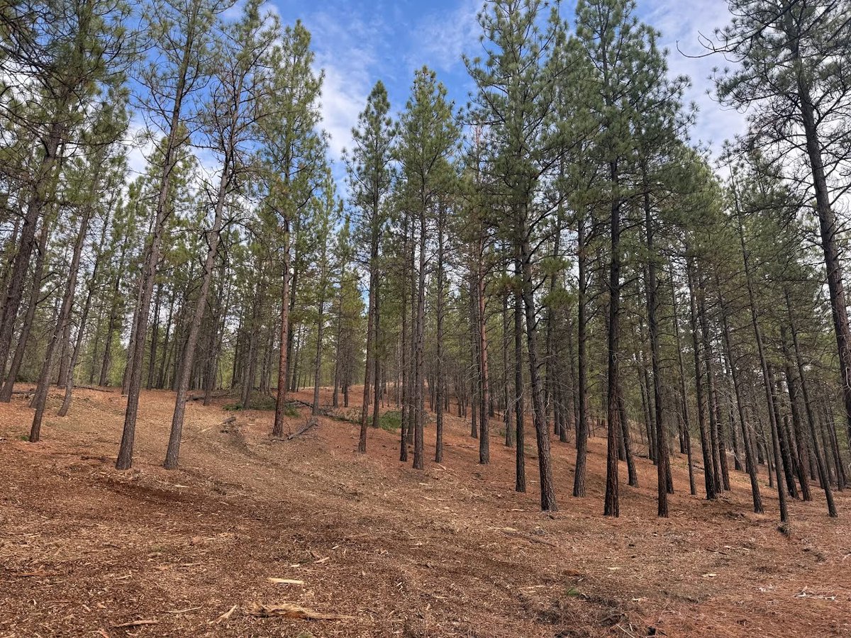 Spokane City Parks & Rec tweet media