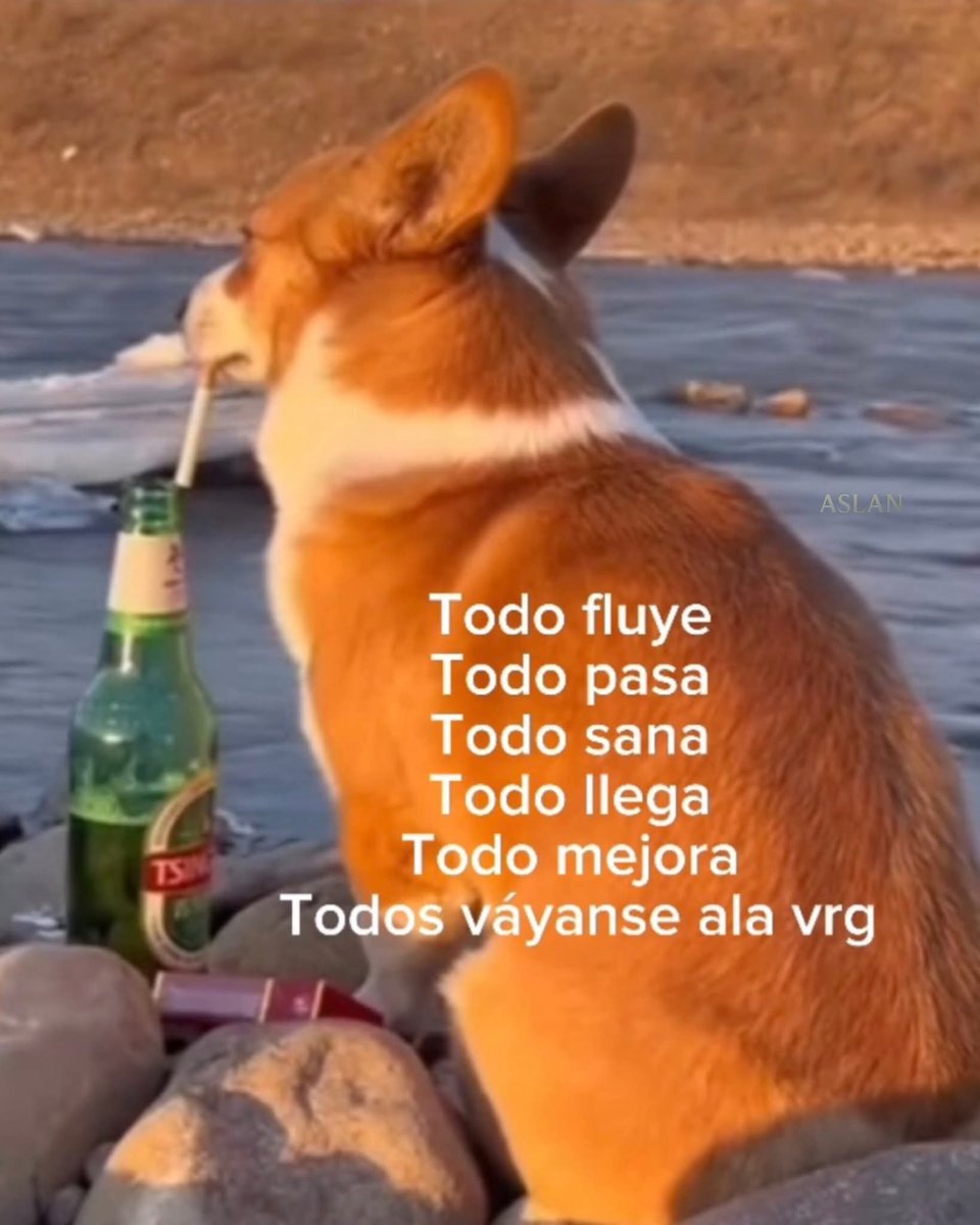 Animalesaprieto's tweet image. 