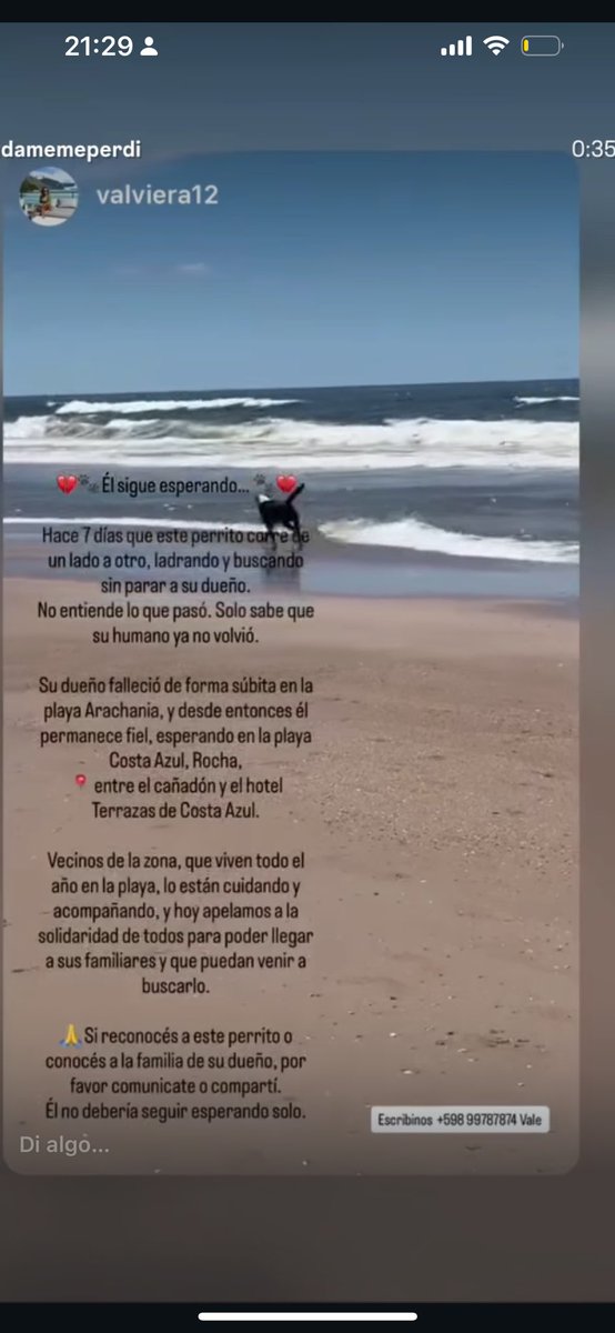 Ya leyeron esto? Es en Costa azul Rocha.