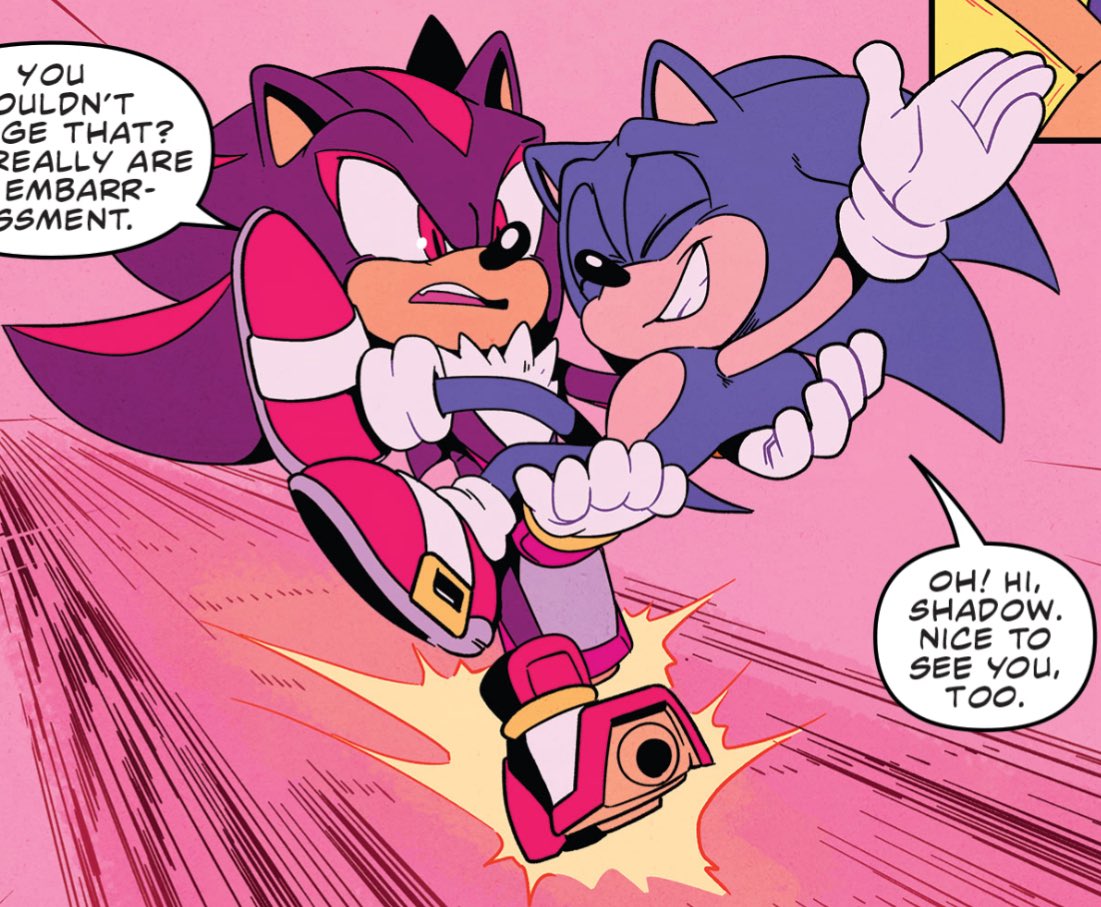 KUshadsthehedge's tweet photo. Shadow and how he always bridal carries people 😭 https://t.co/iFYK8GRGqw