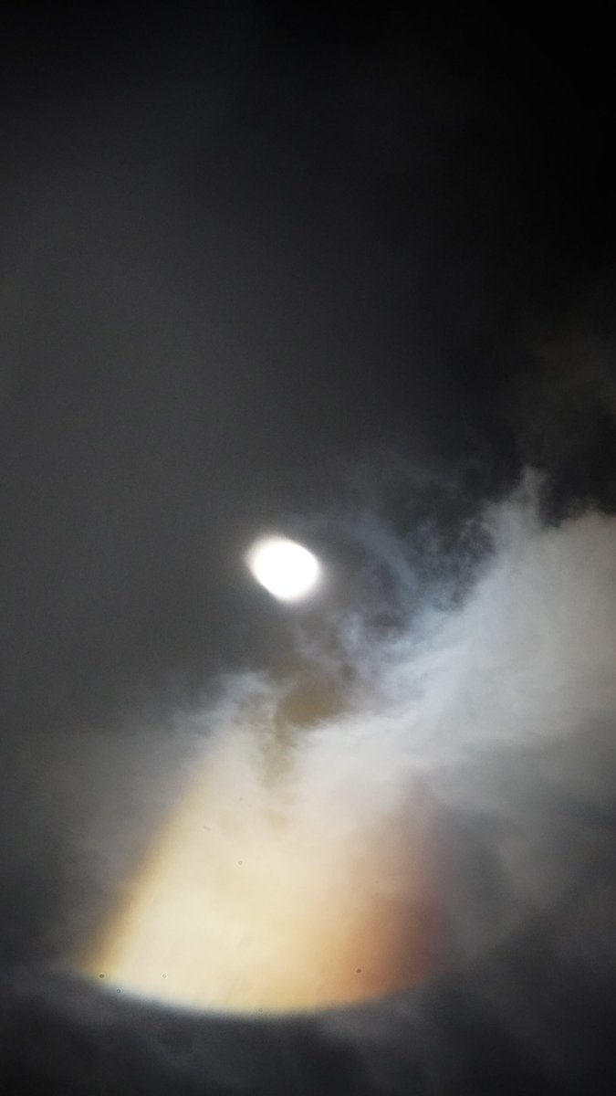 Klaudia Pająk (@allelopatia_) on Twitter photo 