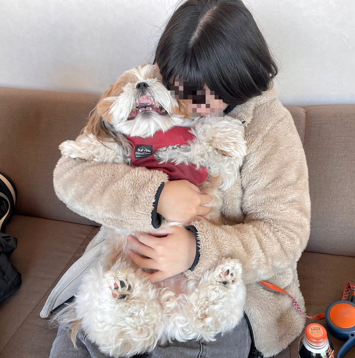 ぽこ (@poco20220603) / Posts / X