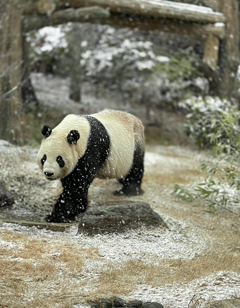 ゆかたん (@yu_ka7493) / Posts / X