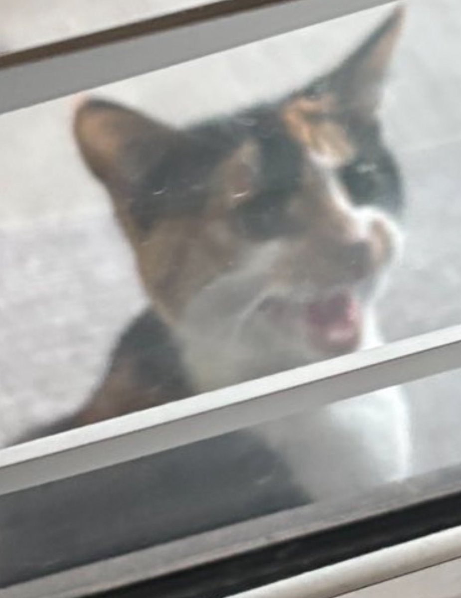 RubyTuesday425's tweet image. “OH GOOD YOURE FINALLY HOME!”