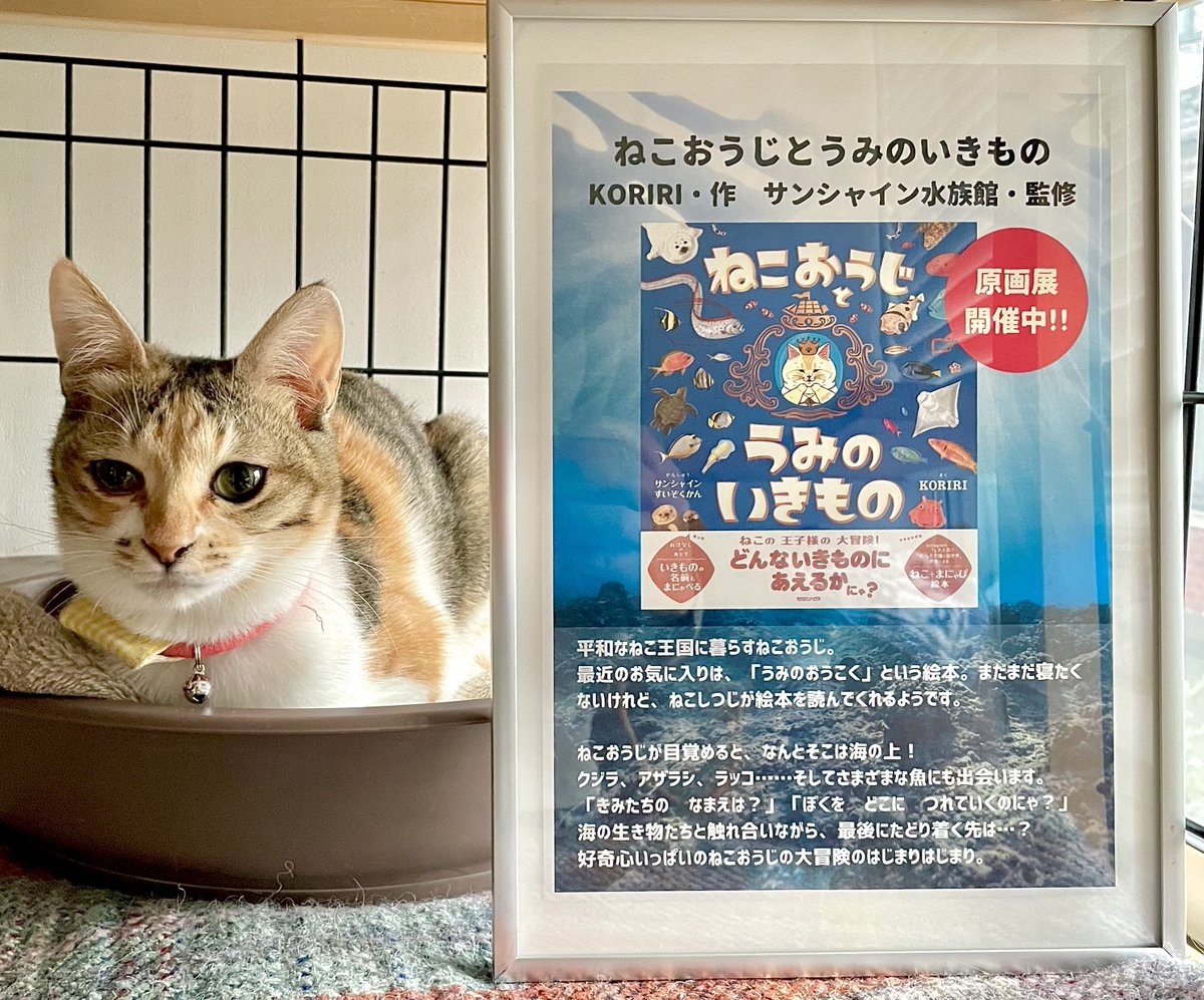 セール中　ロシア語　キリル文字　東欧　絵本　デザイン集　伝統工芸　猫 ロシアの絵本、猫の絵本（котик-коток）