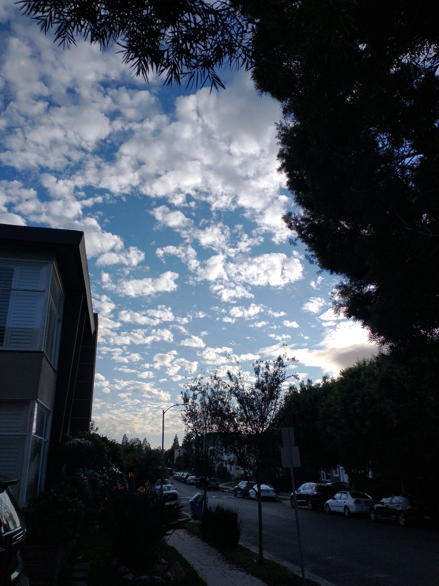 Mark Giffin tweet media