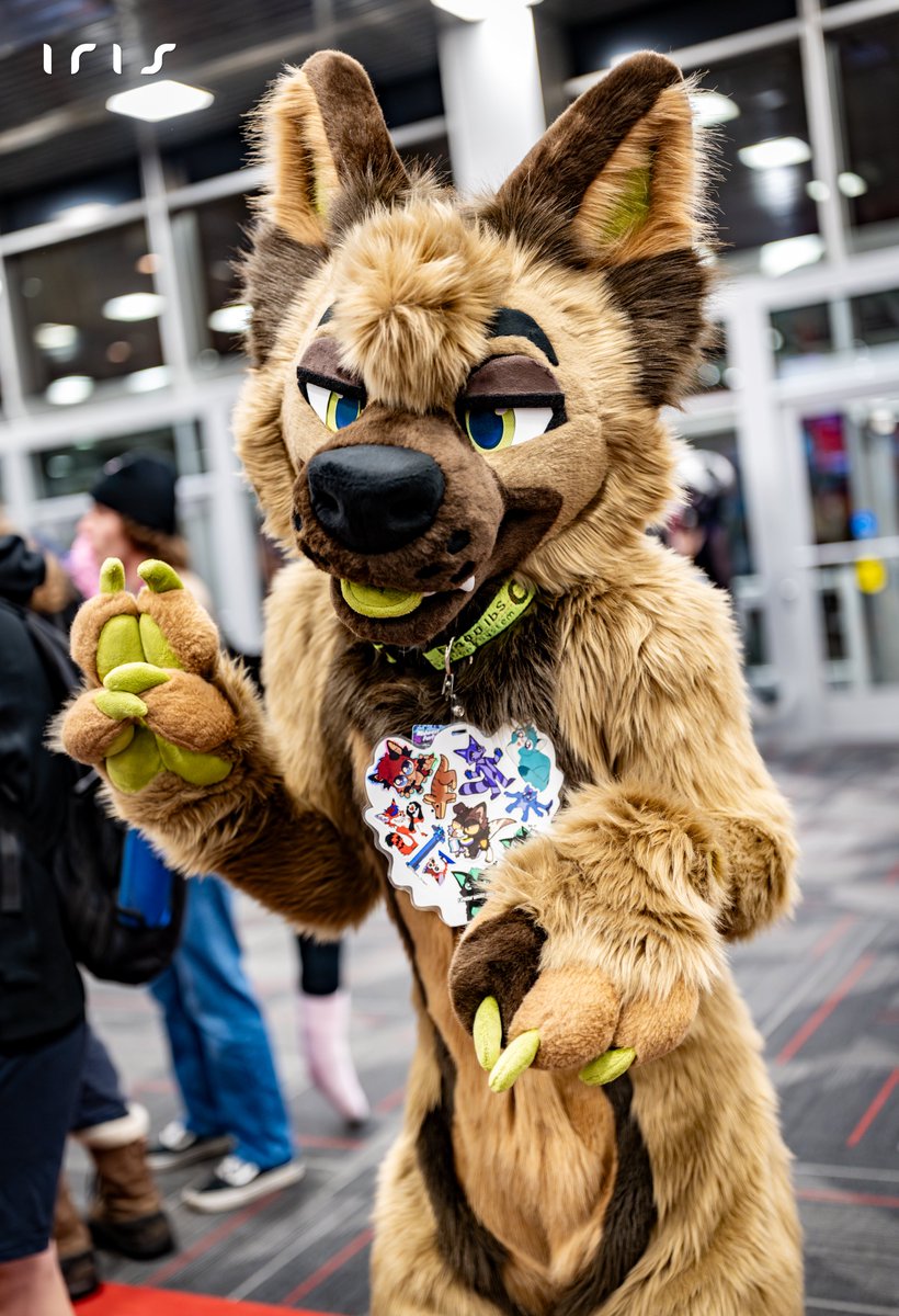 iris_foxxo's tweet image. Some more shots I got from #MFF #MFF2025 #FurFest #FurFest2025 #MidwestFurFest #MidwestFurFest2025 👀

Y'all can see more on here: furtrack.com/index/photogra… 

1: @AFFLUENTMINT 
2: @VolksFusky 
3: bsky.app/profile/phelix… 
4: @Wunderdeer