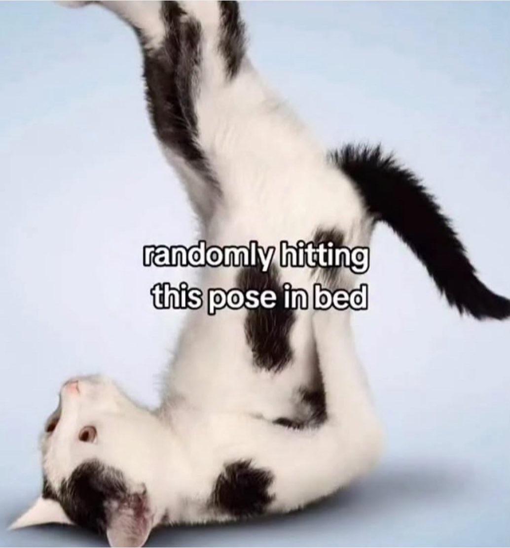 northstardoll's tweet image. 