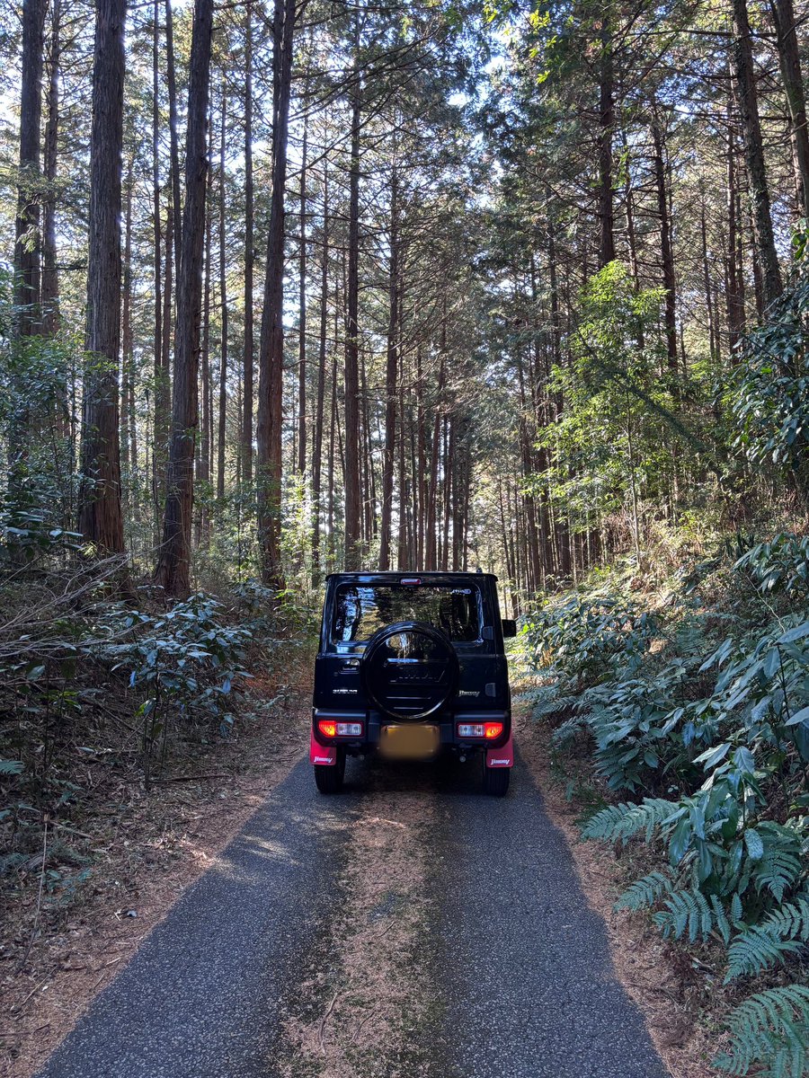 Jimny_Zoo4's tweet photo. 日光大室髙龗神社に行ってきましたー！！
今年も安全運転で🚗³₃ https://t.co/zhvmBLXsdk