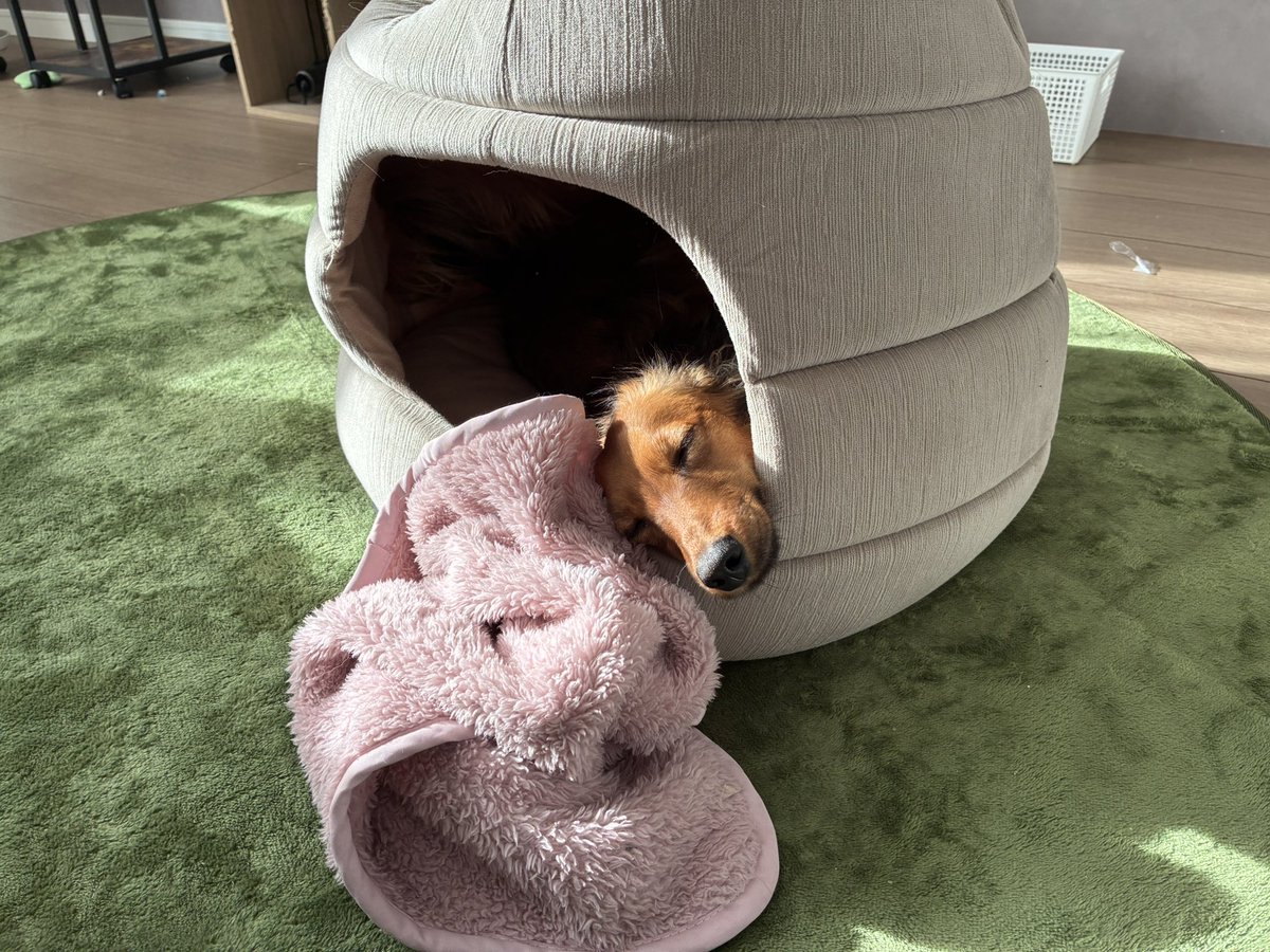 ﾔﾏﾀﾞ tweet media