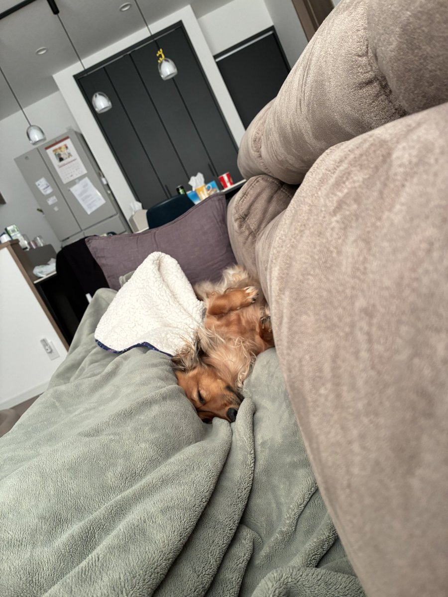 ﾔﾏﾀﾞ tweet media