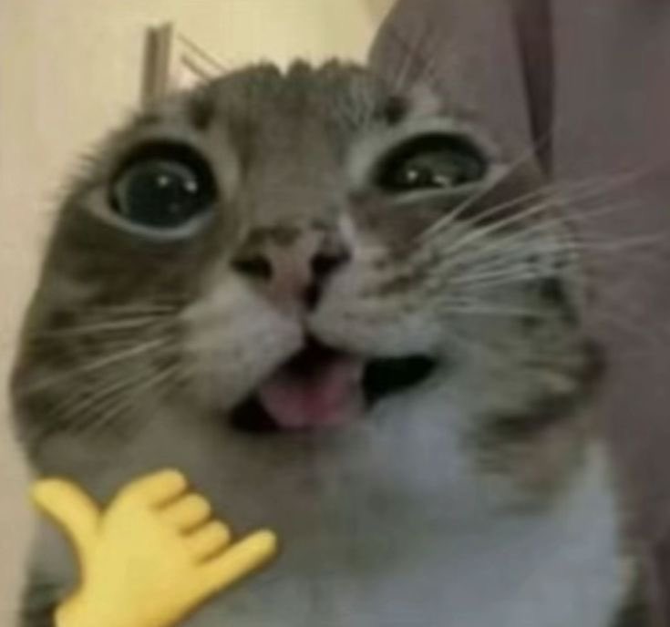 studywithcst's tweet image. ' #studytwt #studytwtbr —

– nome :  Celeste
– idade :  21
– objetivo :  medicina (ENEM)
– plataforma: presencial e Ferretto

– obs :  não sou muito bom em interagir dentro desse app, planejo usar essa rede social mais como uma forma de organização informal dos meus estudos