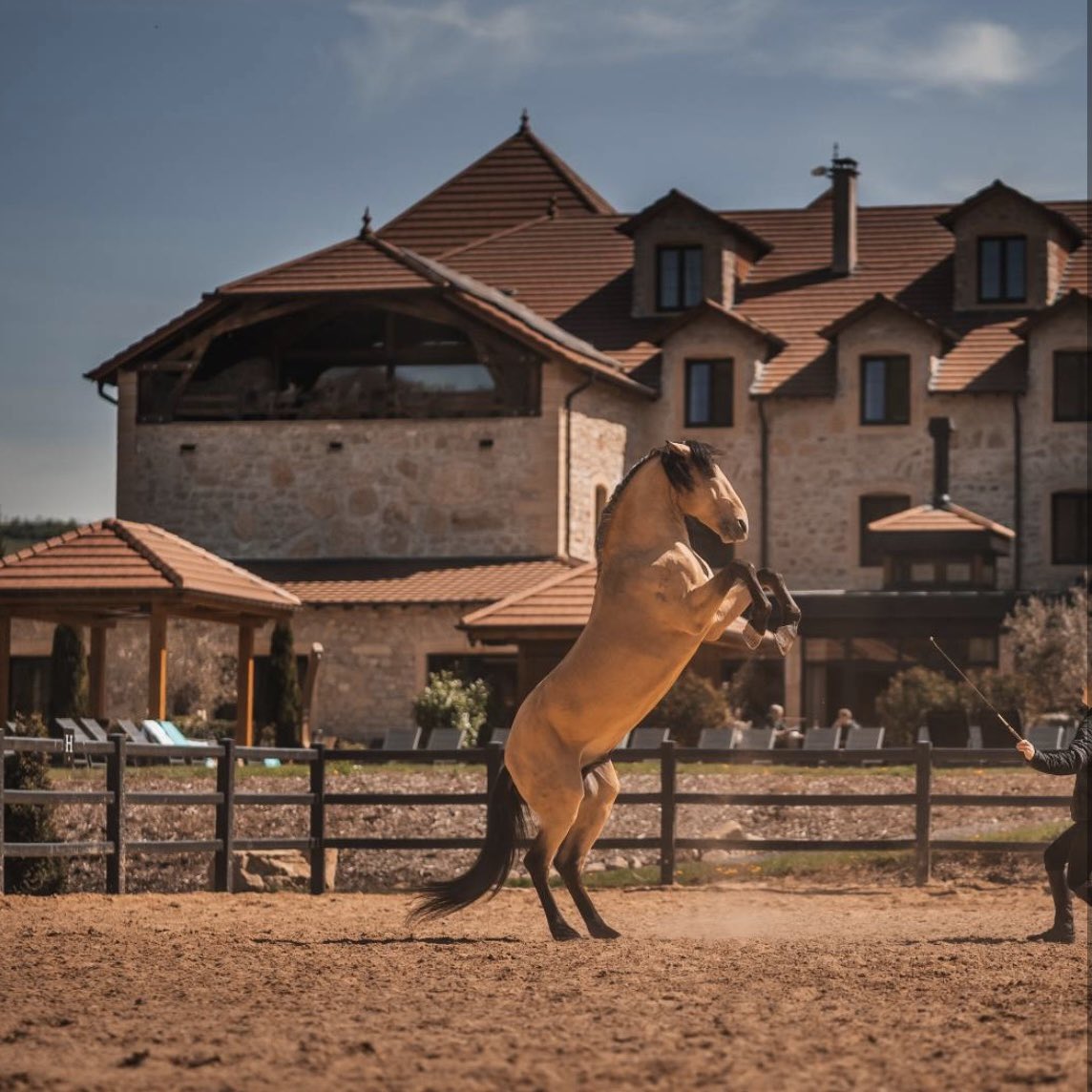 Réveillez-vous dans une atmosphère minérale au sein de la campagne lorraine. Derrière ses épais murs de pierre qui lui confèrent le charme d’un château féodal, le Domaine de la Klauss cache un monde de détente, avec en plus la cuisine inventive et raffinée du restaurant Le K.