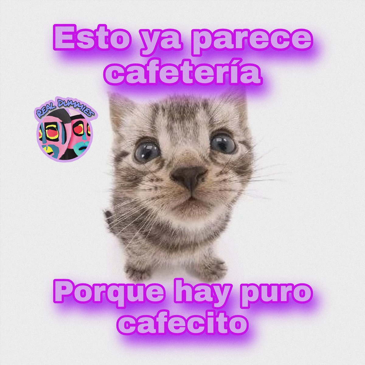 Real Dummies tweet media