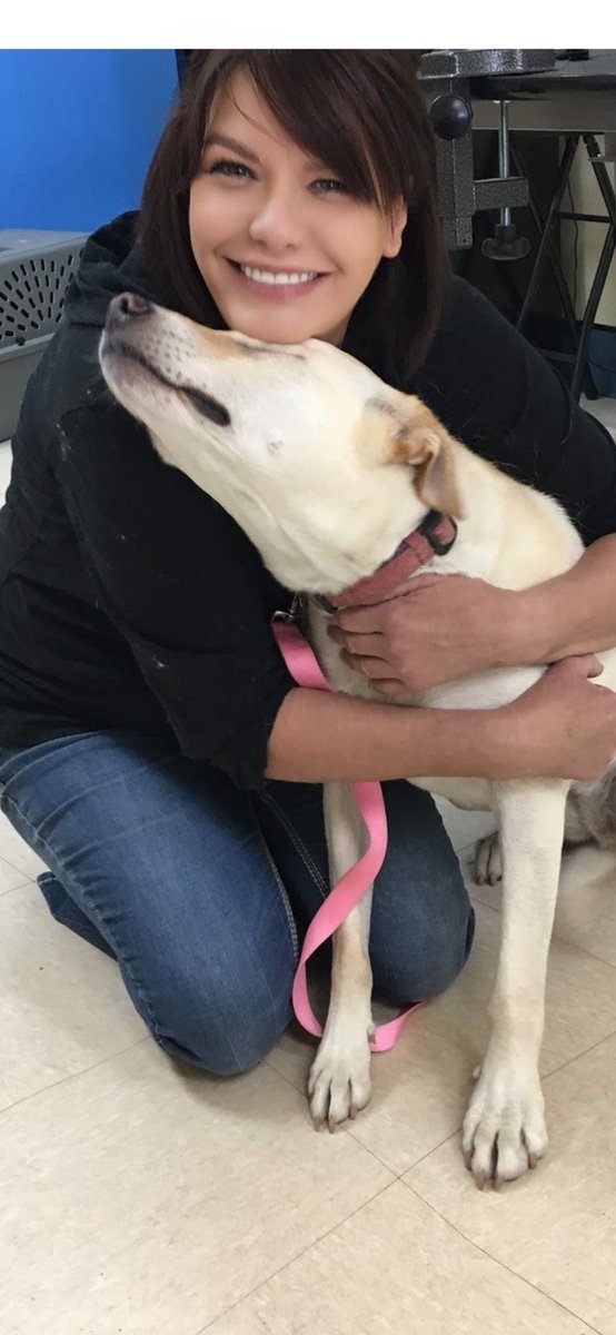 Over the years I’ve rehabilitated dogs that suffered through trauma. The dog here is Miley she was a  survivor of hurricane Harvey. It took me months before she would trust me without lashing out or be  aggressive. I understood what she was going through. Souls can heal each