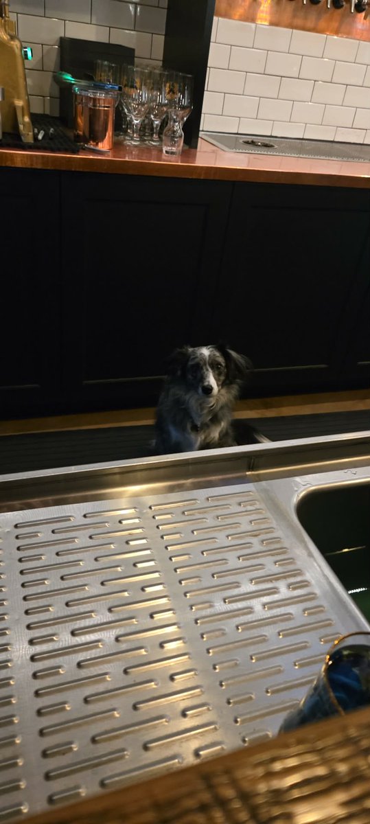 Osaka Village Elder tweet media