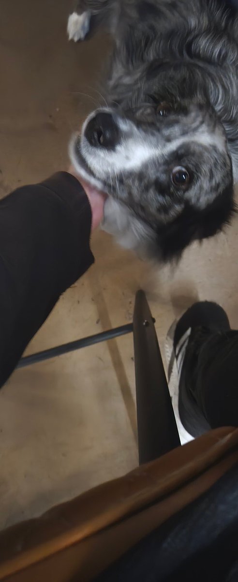 Osaka Village Elder tweet media