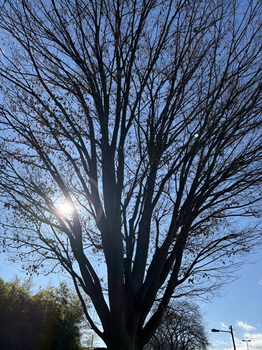 ali_shinra's tweet photo. いつもありがとうございます。
2026年
新年あけましておめでとうございます。

本日、古代舞靈研究所お稽古はじめです。
今年はゆっくりお休みさせていただき、しっかりチャージいたしました。
今年も何卒よろしくお願いいたします。 https://t.co/k74LzFDjjl