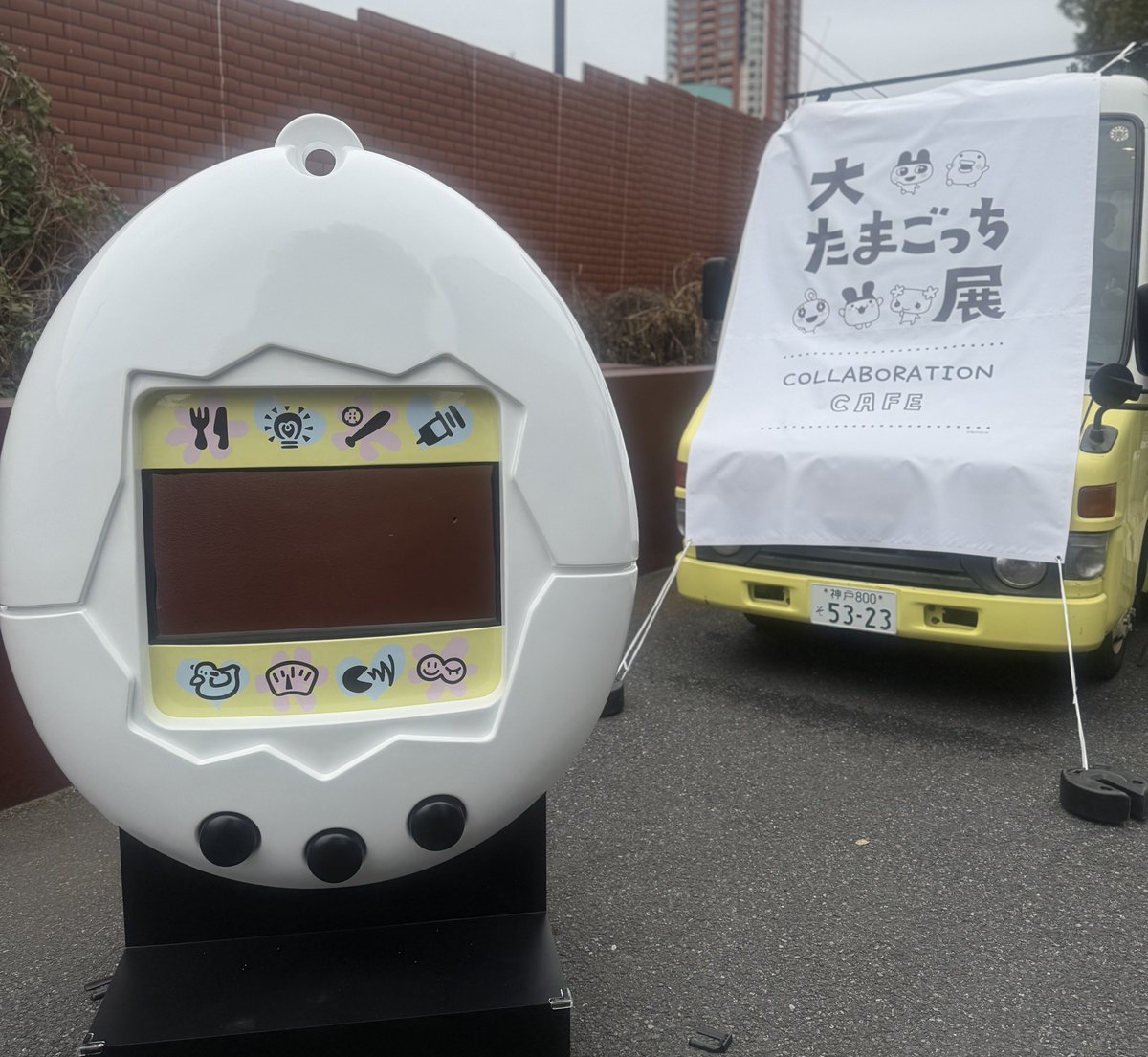 えーーー行きたいーー