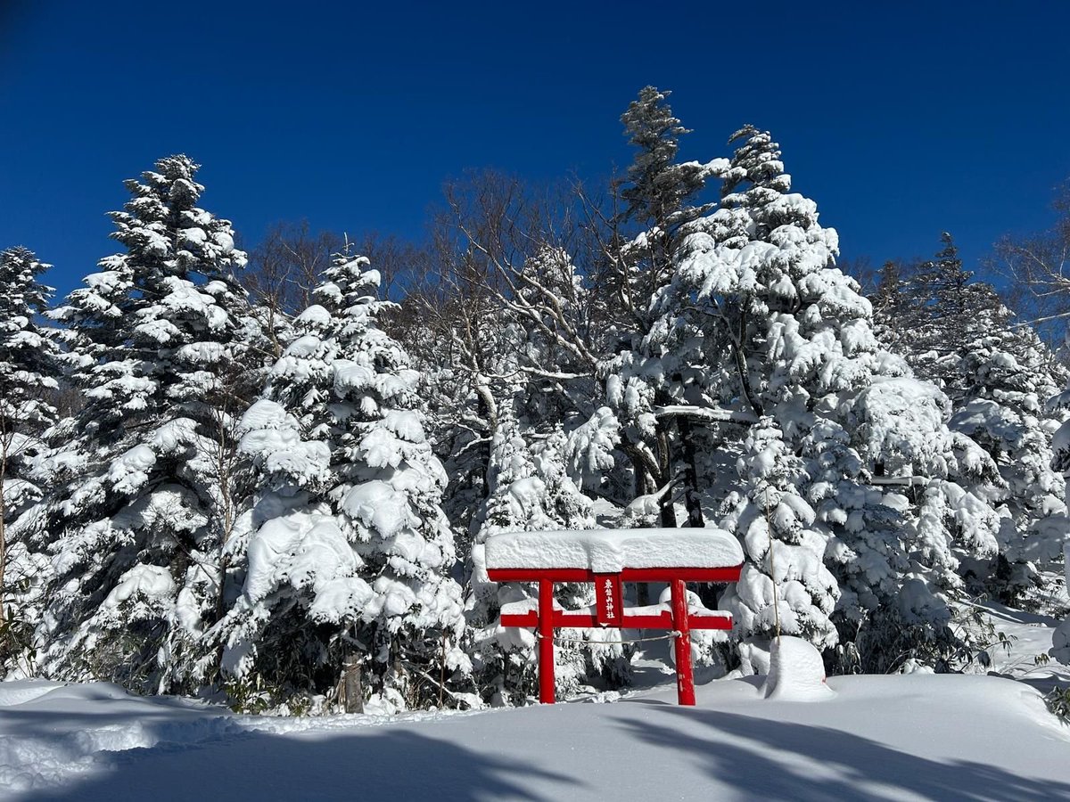 Tokyo Snow Club tweet media