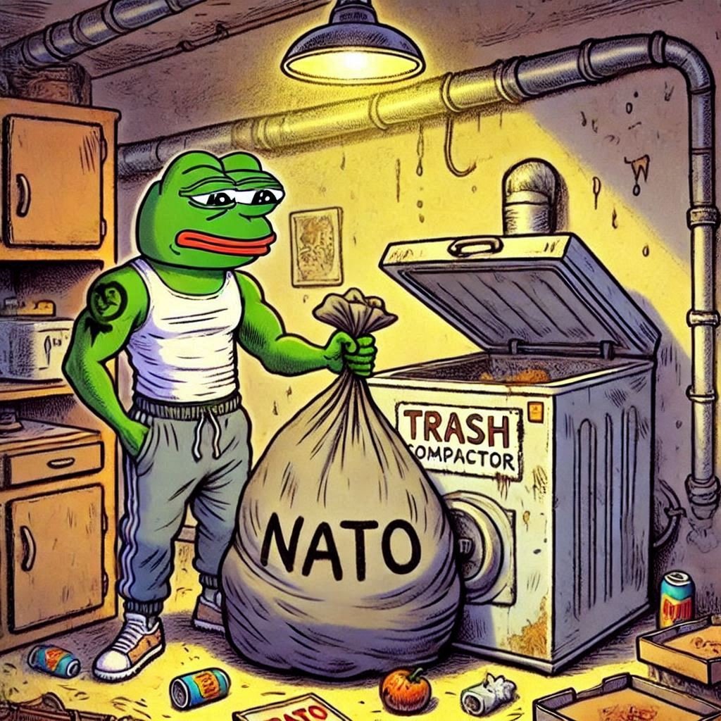 The_Wireman's tweet image. I do not appreciate nato