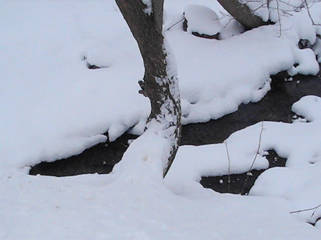 ඃᒁං ൠ tweet media