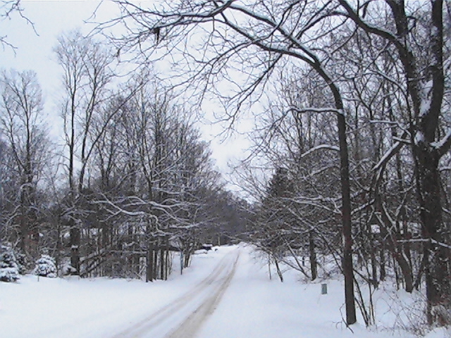 ඃᒁං ൠ tweet media