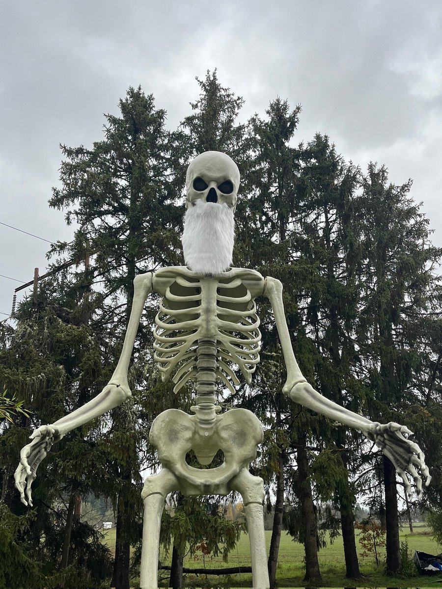 Dah Skeletonto tweet media