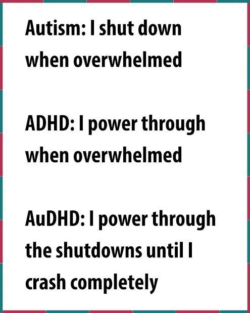 No Nonsense Neurodivergent tweet media