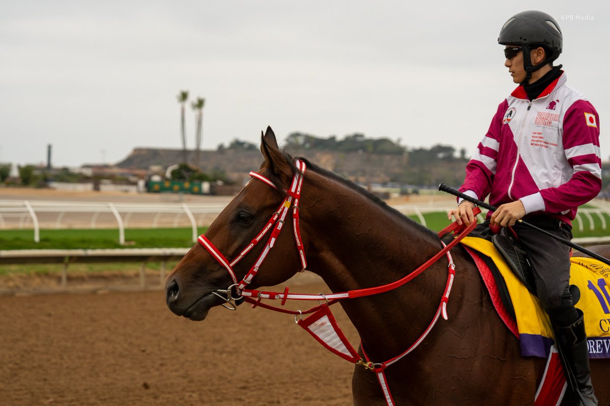 Champs of the Track tweet media