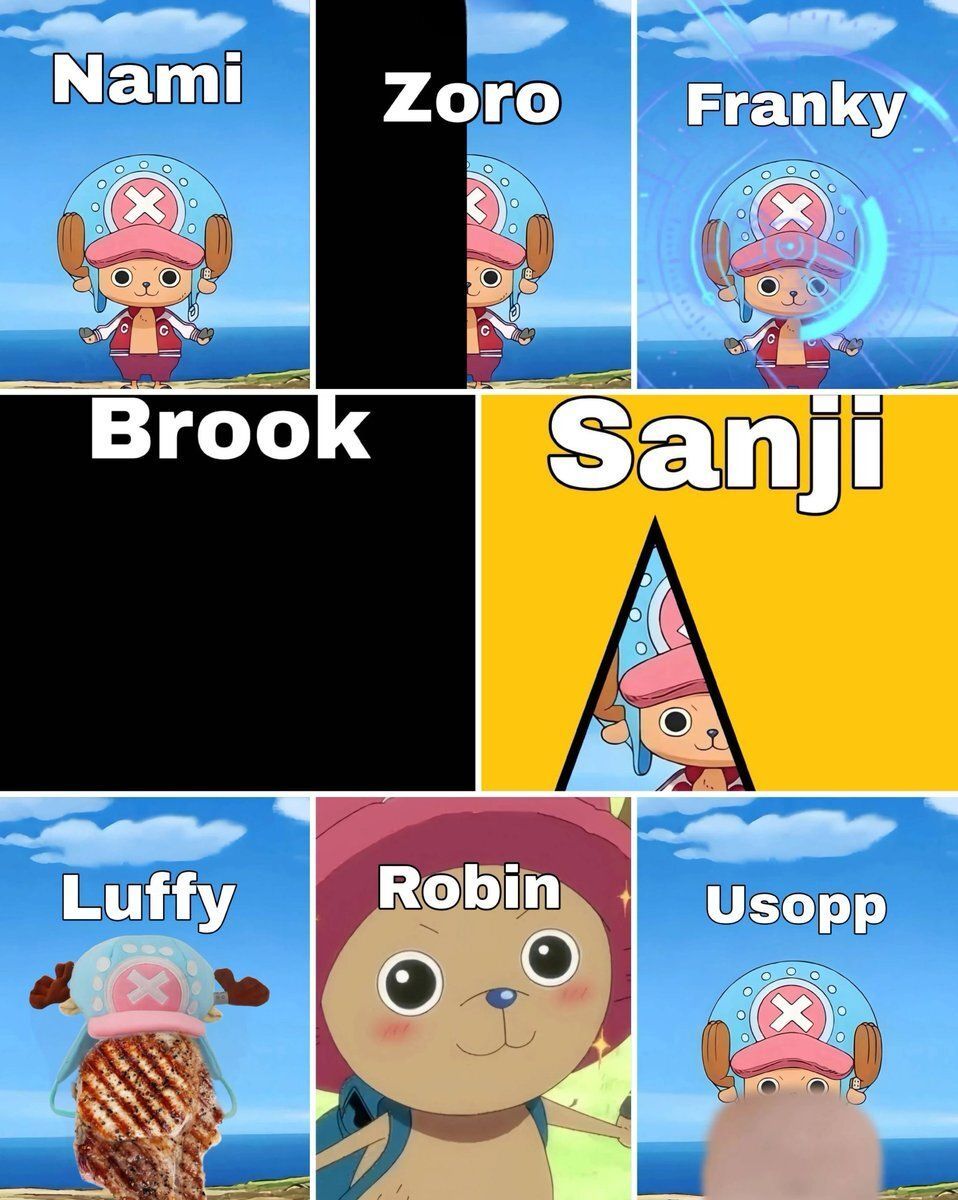 strawhats's tweet image. How Straw hats see Chopper