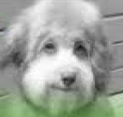 JTM081's tweet image. When you're on facetime with your girl but she lowkey doordashes 4 cantaloupes so you have no choice but to end it