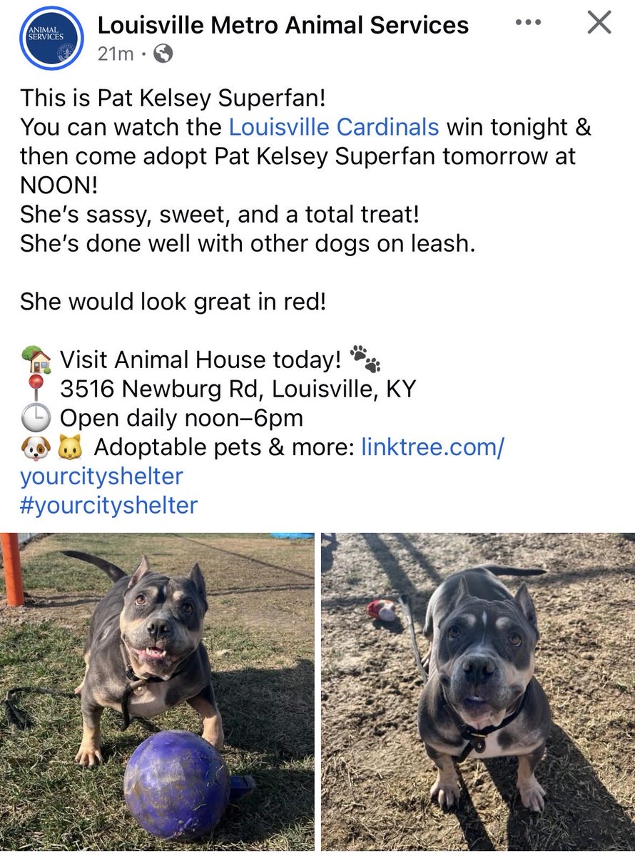 charlotte tweet media