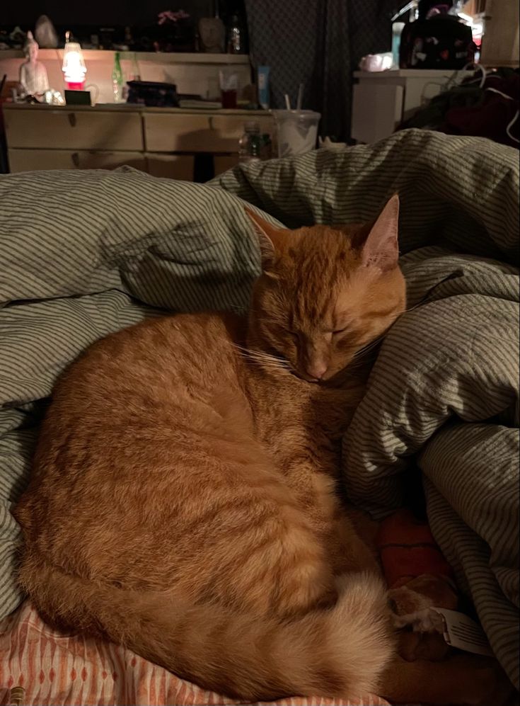 sweetcassy_'s tweet image. 𝑨𝒊𝒏𝒅𝒂 𝒍𝒆𝒎𝒃𝒓𝒂 𝒅𝒆 𝒎𝒊𝒎?//EL&amp;amp;A

fic/Lucas

Separados por uma mudança repentina, eles viveram um amor interrompido cedo demais. Anos depois, o reencontro traz à tona emoções que pareciam adormecidas. Talvez o tempo não apague o que é verdadeiro.