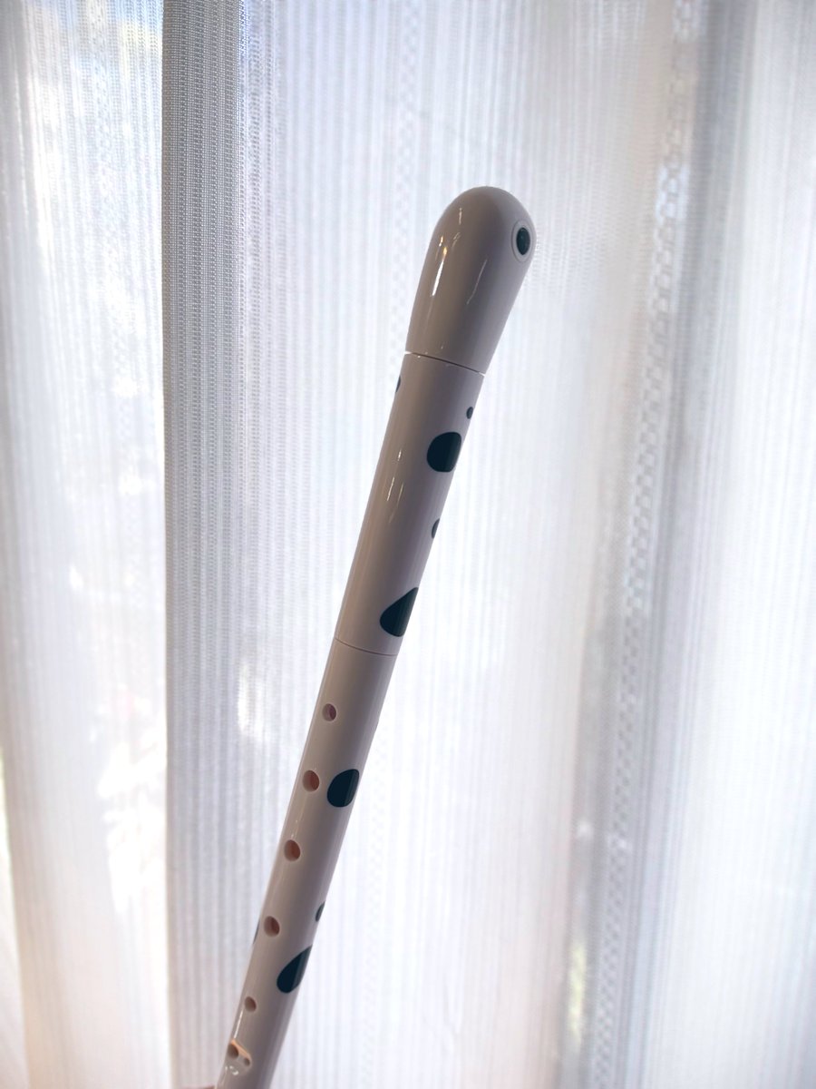 kurogedelic's tweet image. 桂浜水族館で売ってるチンアナゴのリコーダー最高だからみんな買ったほうが良い